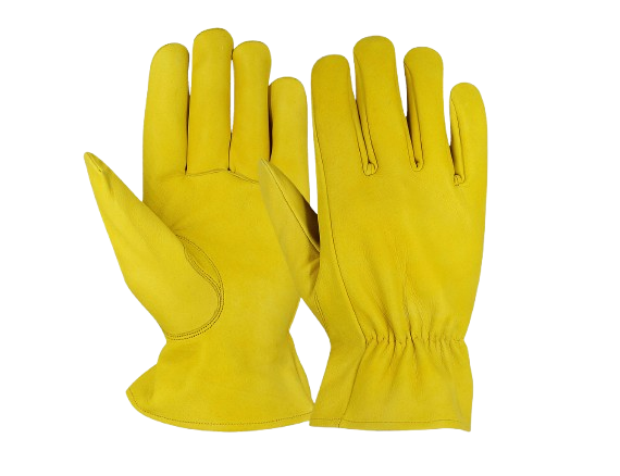 Driver Gloves Collection